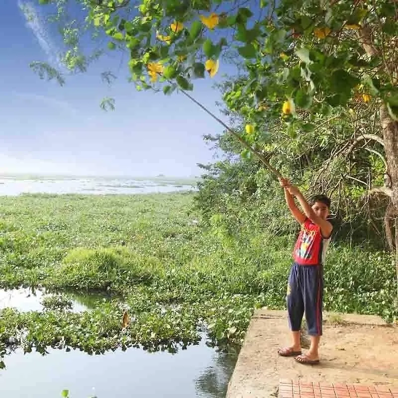 *** Resort Saro Lake County Kumarakom India